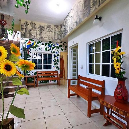 Hotel Jovita Xilitla Kültér fotó